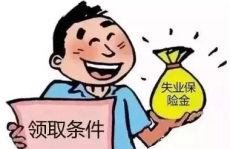 失业保险金如何领取,轻松掌握申领流程