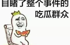娱乐吃瓜君爆料遛鸟,遛鸟背后的明星趣事大揭秘