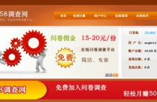 调查网赚,揭秘调查网赚背后的真相