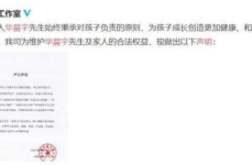 娱乐吃瓜的ai,明星幕后那些事儿