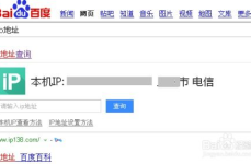 用ip查地址,揭秘IP地址背后的地理位置信息