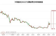 002374股票,最新股价2.65元，小幅下跌0.75%