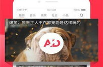 娱乐吃瓜芋泥视频下载,芋泥吃瓜达人教你轻松下载娱乐视频