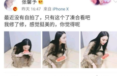 娱乐吃瓜酱的作品地域黑,娱乐吃瓜酱作品中的地域歧视现象