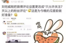 娱乐理智吃瓜,娱乐新闻背后的真相解析