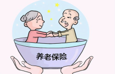 中国养老保险,中国养老保险体系构建与未来发展展望