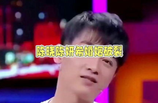 娱乐圈吃瓜陈晓是谁,陈晓离婚风波背后的真相揭晓